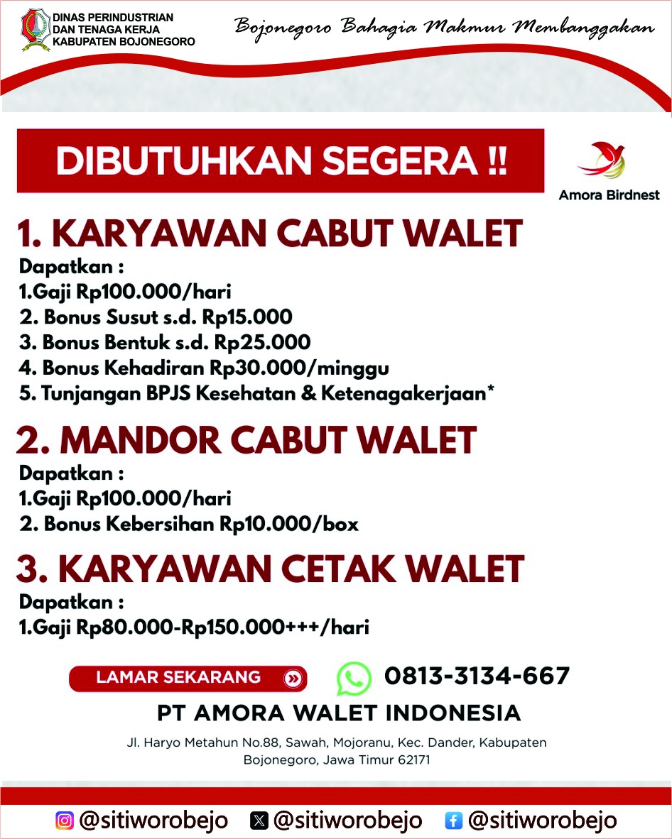 Lowongan Kerja PT Amora Walet Indonesia