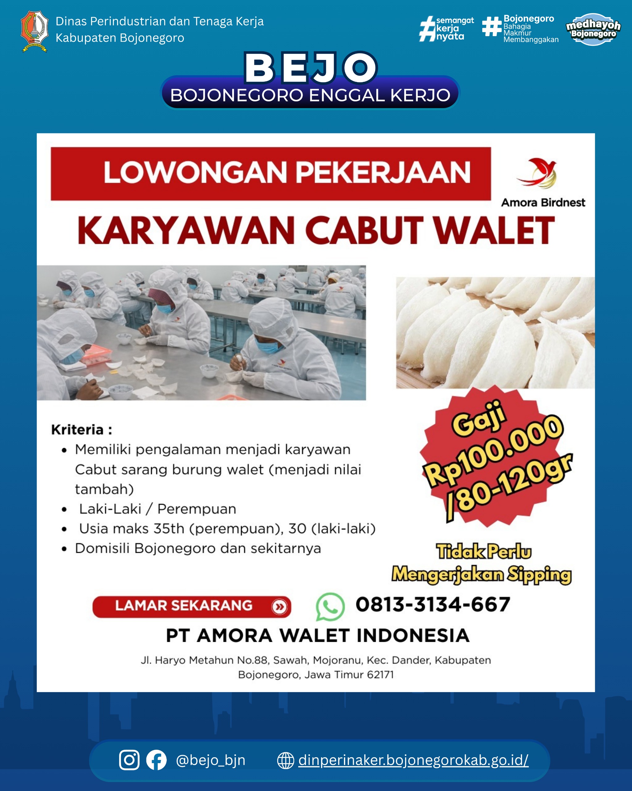 LOWONGAN KERJA TERBARU – PT Amora Walet Indonesia